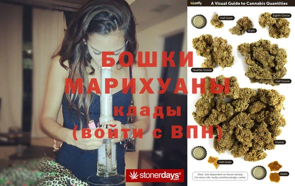 молекула духа Покров