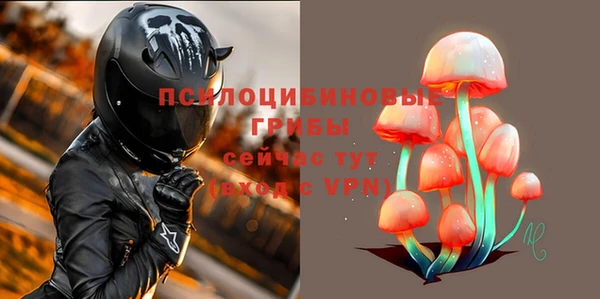 первитин Покачи