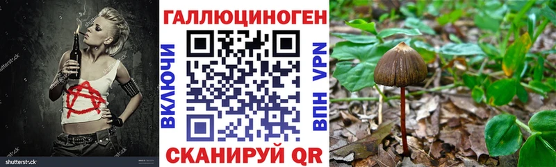 Псилоцибиновые грибы Cubensis Ступино