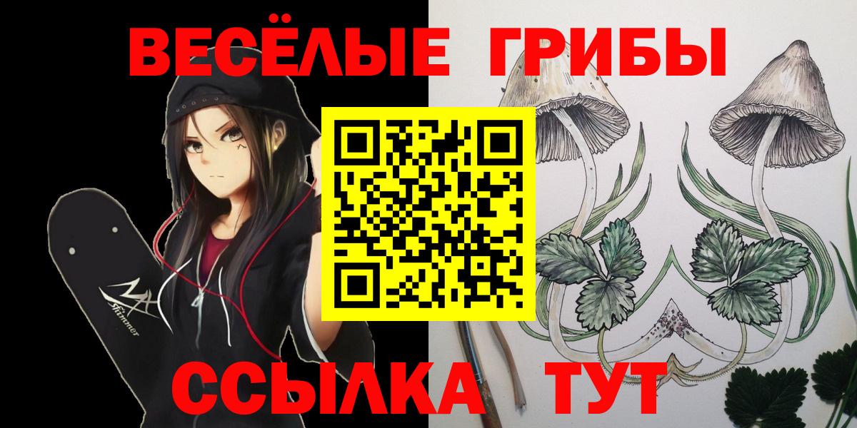 Ступино  купить закладку  Вход с VPN  Псилоцибиновые грибы MAGIC MUSHROOMS 